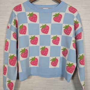 Luna Ivy Strawberry Blue Checkered Sweater Large